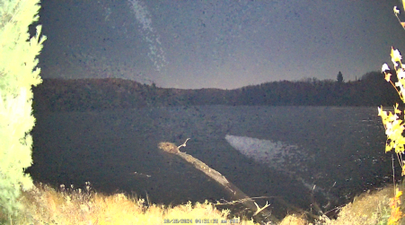 Image from 2024-10-18