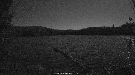 Image from 2024-10-18