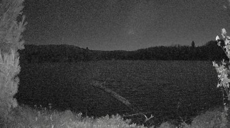 Image from 2024-10-18