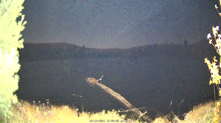 Image from 2024-10-19