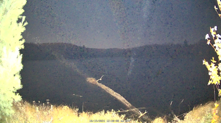 Image from 2024-10-19