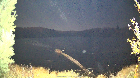Image from 2024-10-19