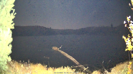 Image from 2024-10-19