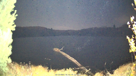 Image from 2024-10-19