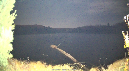 Image from 2024-10-19