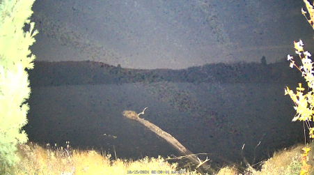 Image from 2024-10-19