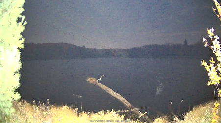 Image from 2024-10-19
