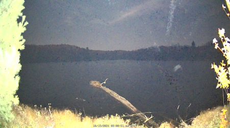 Image from 2024-10-19