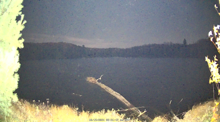 Image from 2024-10-19
