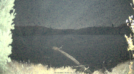 Image from 2024-10-19