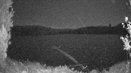 Image from 2024-10-19