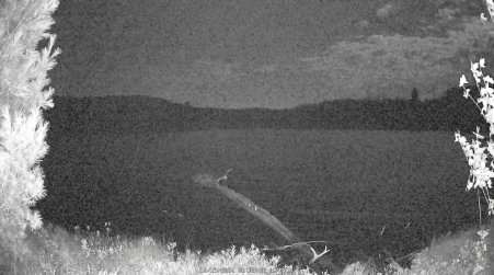 Image from 2024-10-19