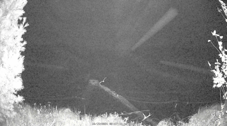 Image from 2024-10-19