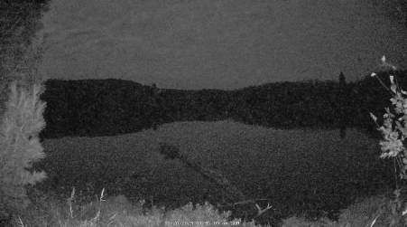 Image from 2024-10-20