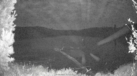 Image from 2024-10-20