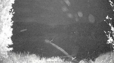 Image from 2024-10-20
