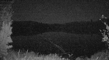 Image from 2024-10-20