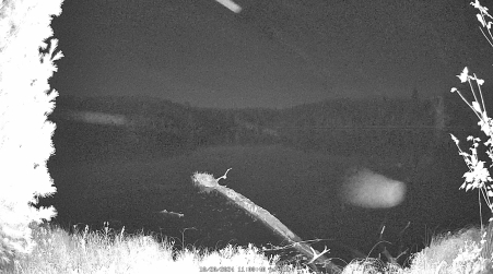 Image from 2024-10-20