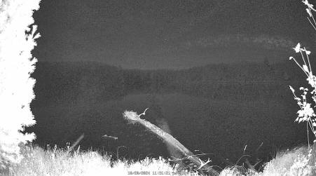 Image from 2024-10-20
