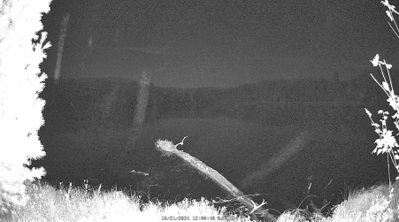 Image from 2024-10-21