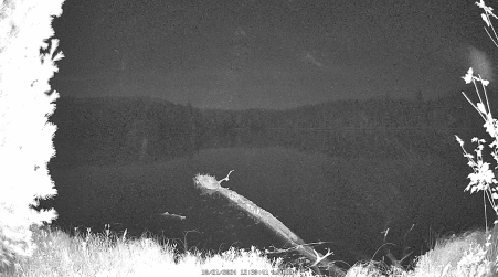 Image from 2024-10-21