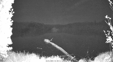 Image from 2024-10-21