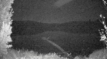 Image from 2024-10-21