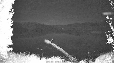 Image from 2024-10-21