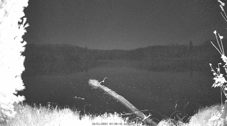 Image from 2024-10-21