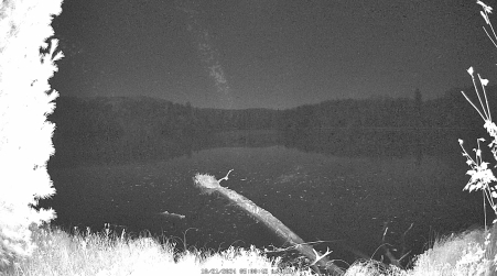 Image from 2024-10-21