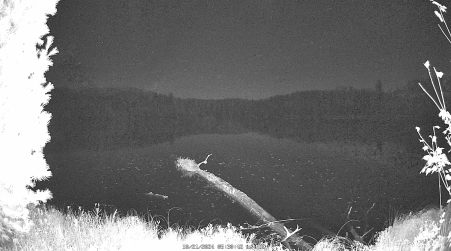 Image from 2024-10-21