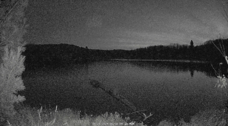 Image from 2024-10-21
