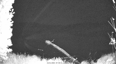 Image from 2024-10-21