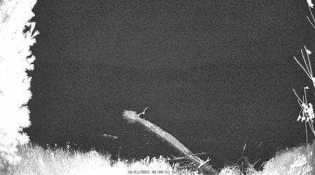 Image from 2024-10-21