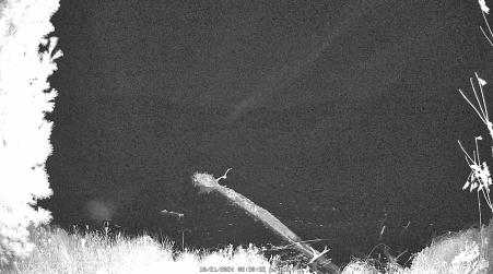 Image from 2024-10-21
