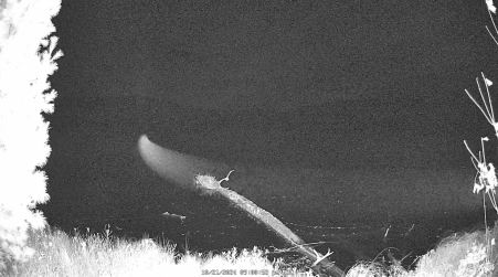 Image from 2024-10-21