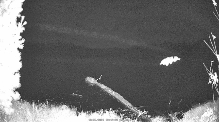 Image from 2024-10-21