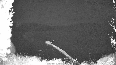 Image from 2024-10-21