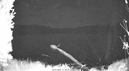 Image from 2024-10-21