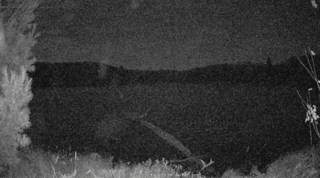 Image from 2024-10-22