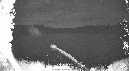 Image from 2024-10-22
