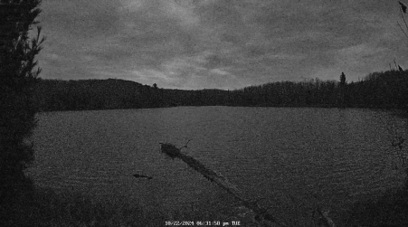 Image from 2024-10-22
