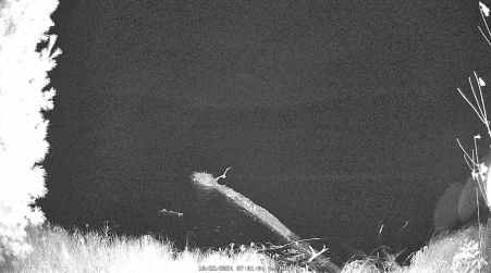 Image from 2024-10-22