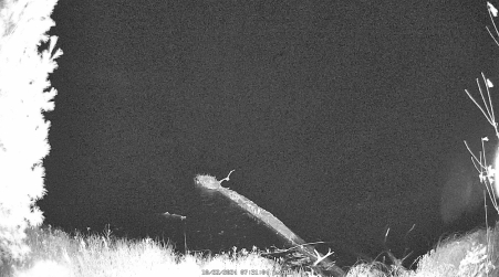 Image from 2024-10-22