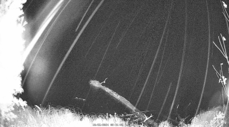 Image from 2024-10-22
