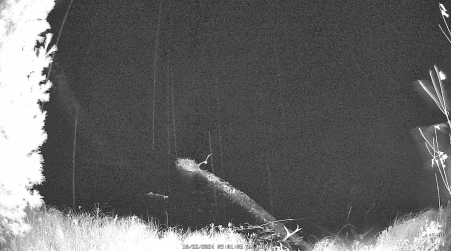Image from 2024-10-22