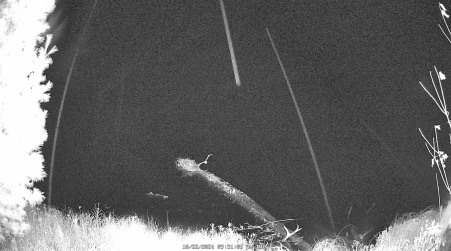 Image from 2024-10-22