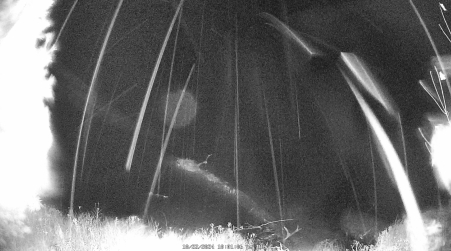 Image from 2024-10-22