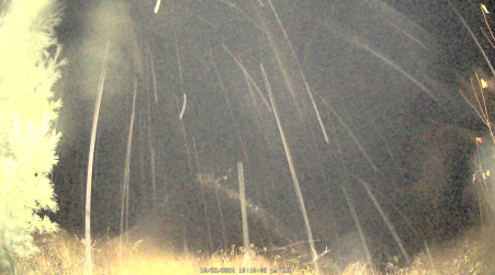 Image from 2024-10-22