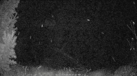 Image from 2024-10-22
